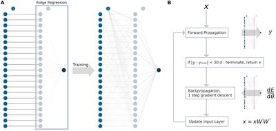 Artificial neural networks for non-linear age correction of diffusion metrics in the brain